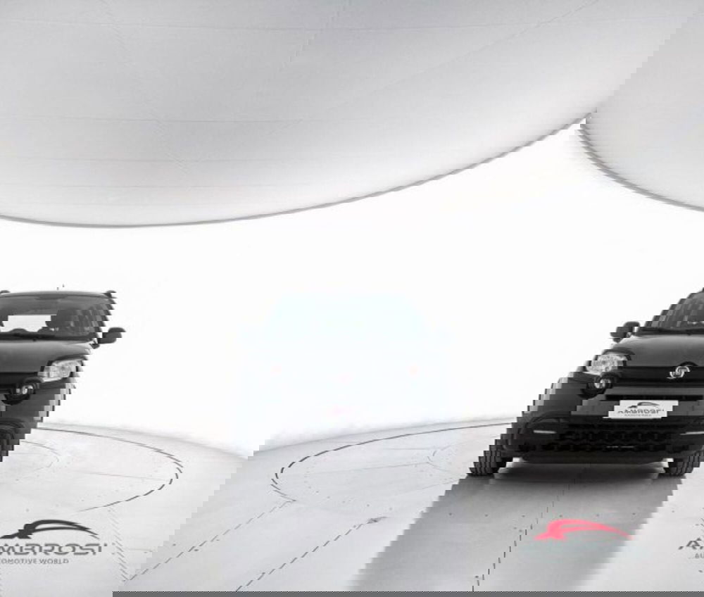 Fiat Panda usata a Perugia (5)