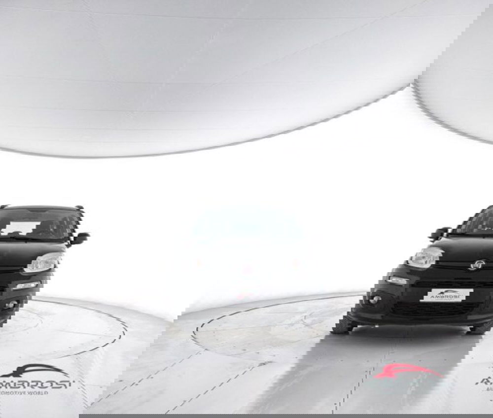 Fiat Panda usata a Perugia (5)