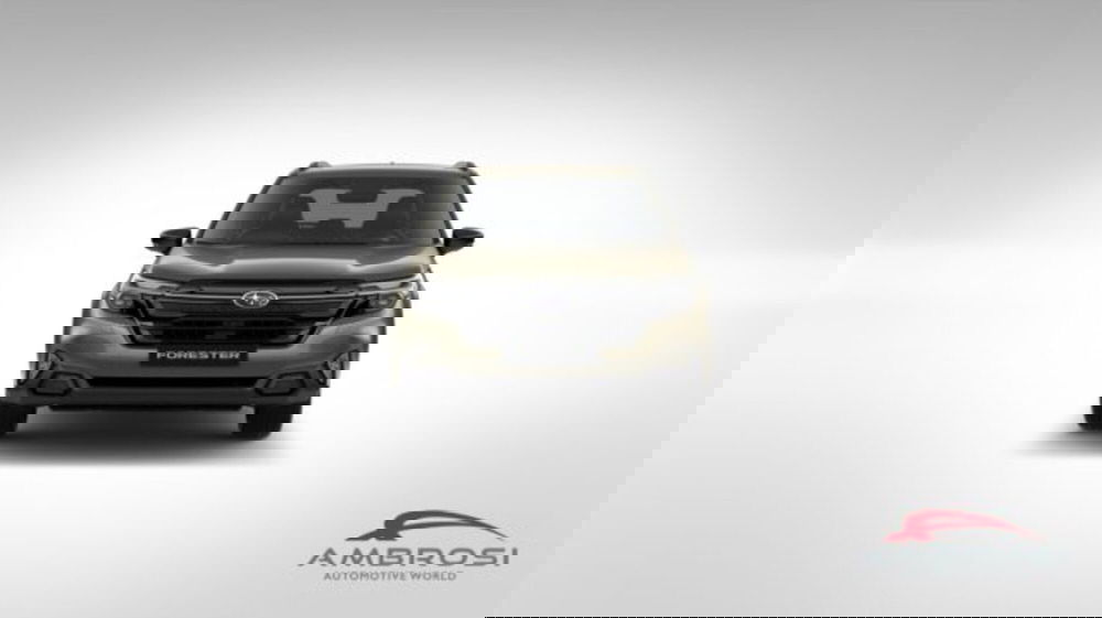 Subaru Forester nuova a Perugia (8)