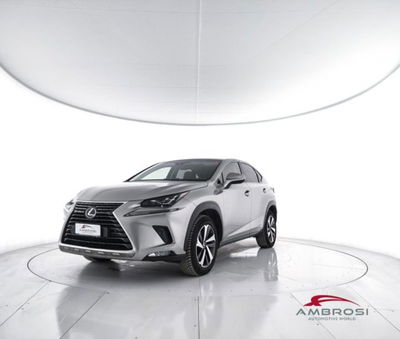 Lexus NX Hybrid 4WD Luxury del 2018 usata a Corciano