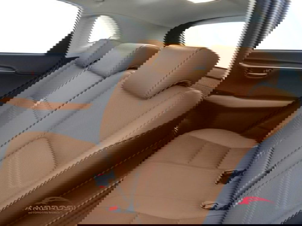 Lexus NX usata a Perugia (10)