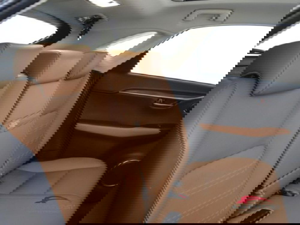 Lexus NX usata a Perugia (11)