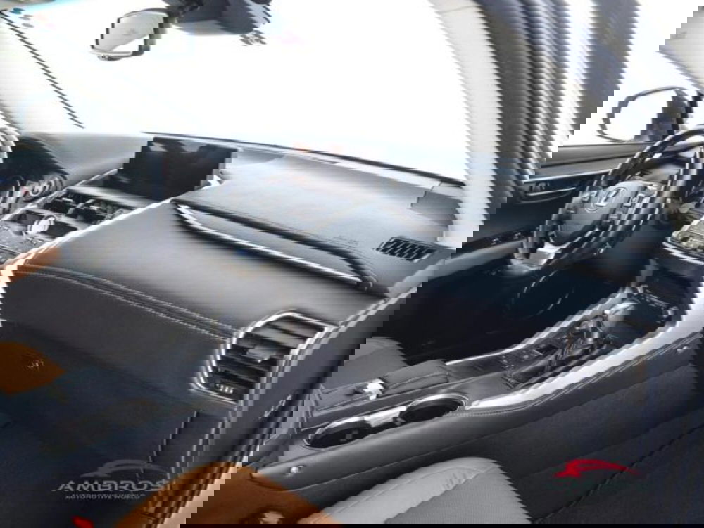 Lexus NX usata a Perugia (12)