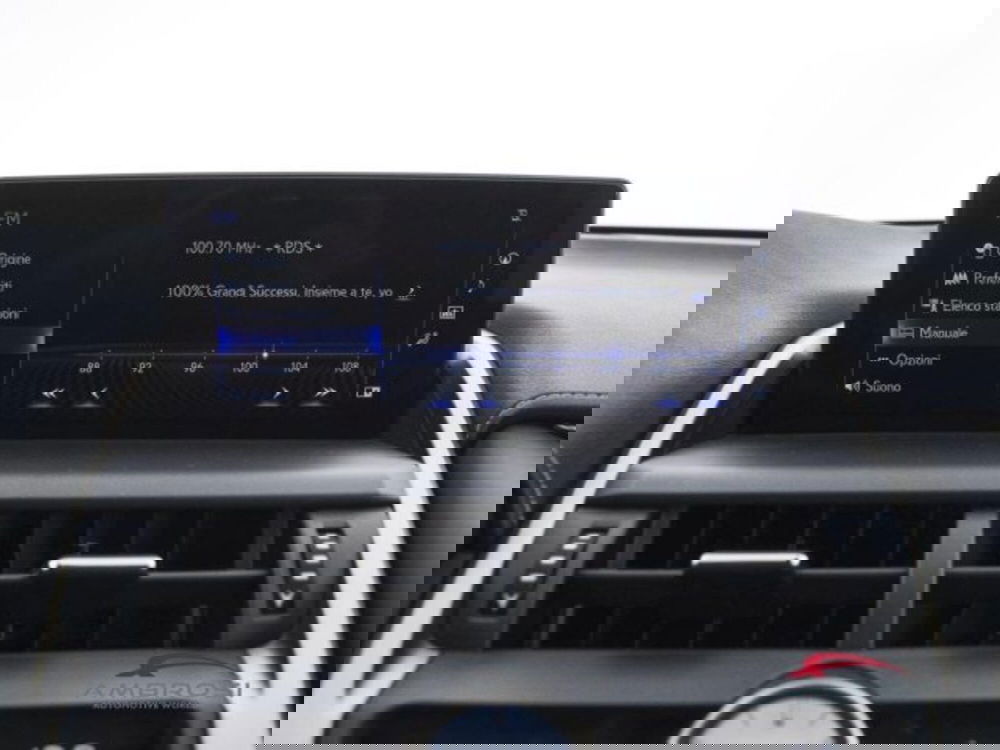 Lexus NX usata a Perugia (14)