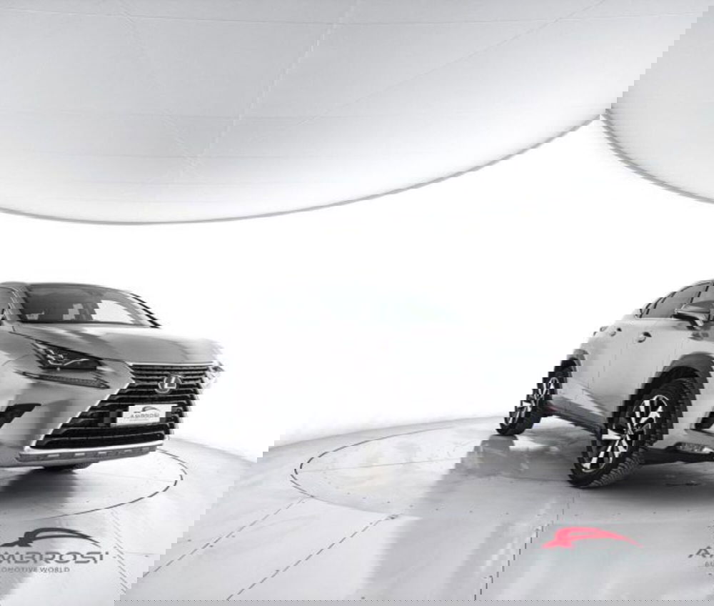 Lexus NX usata a Perugia (2)