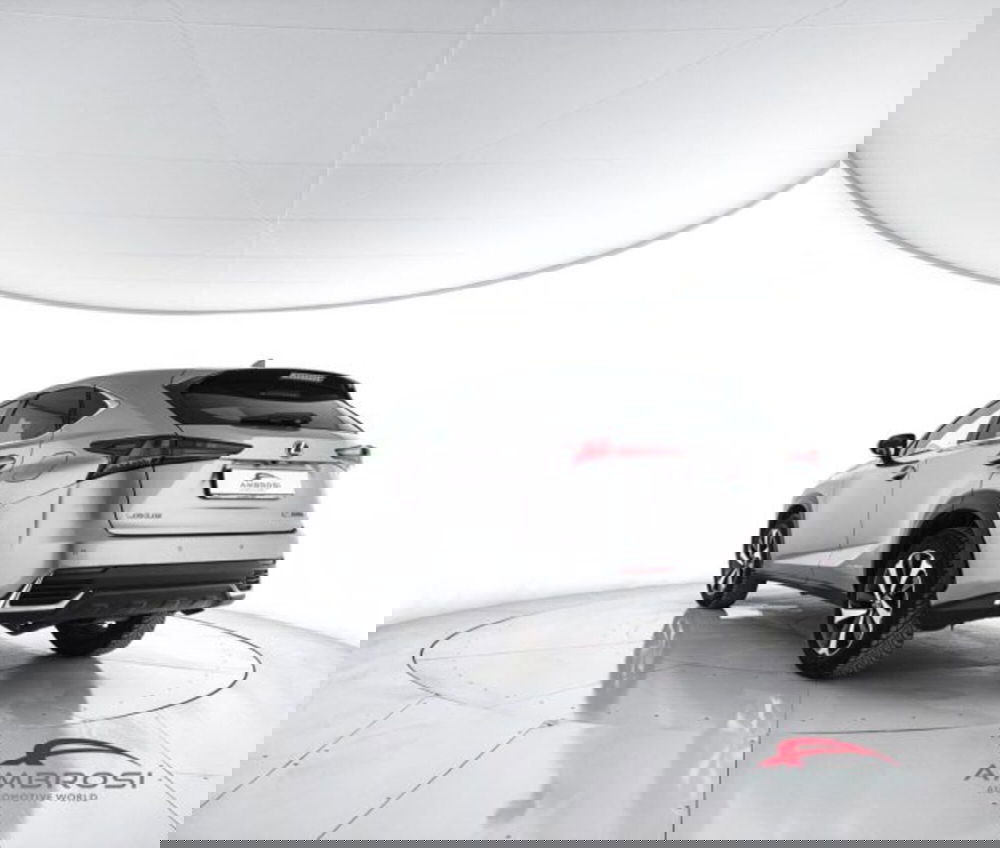 Lexus NX usata a Perugia (4)