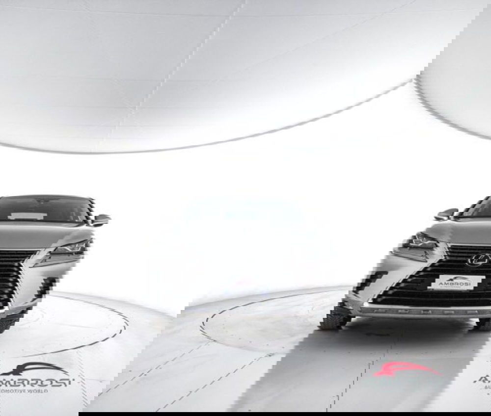 Lexus NX usata a Perugia (5)