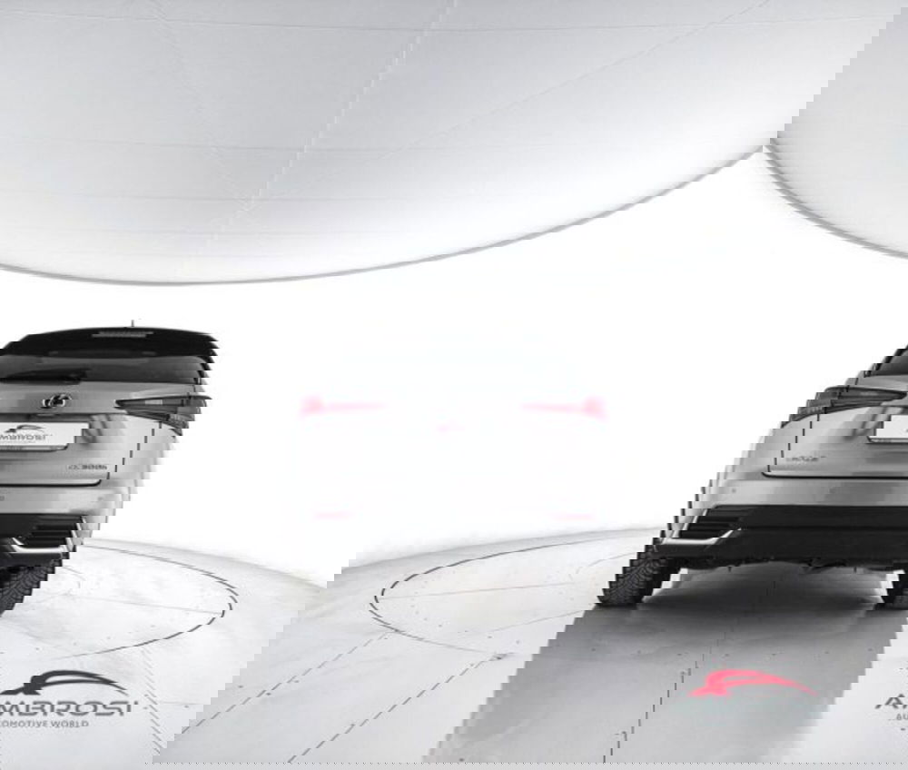 Lexus NX usata a Perugia (6)