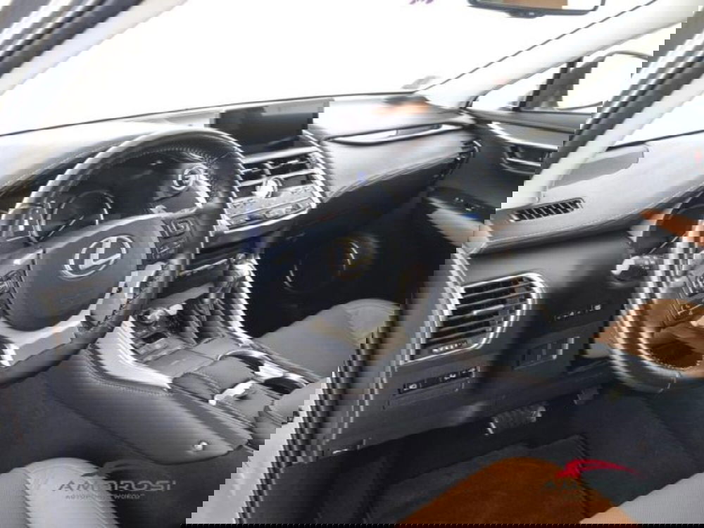 Lexus NX usata a Perugia (8)