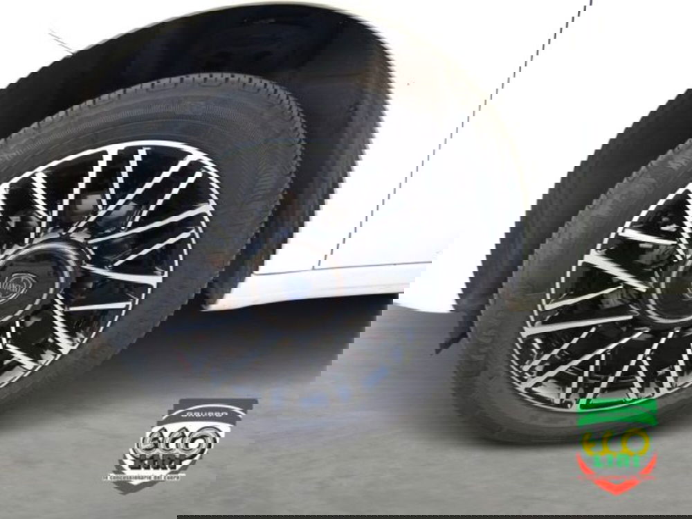 Lancia Ypsilon usata a Frosinone (12)