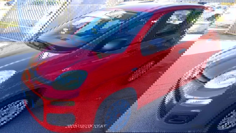 Fiat Panda usata a Frosinone (5)