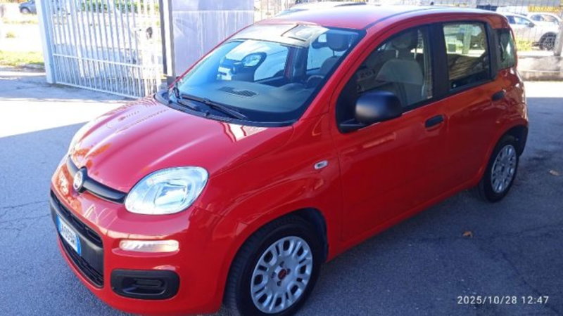 Fiat Panda usata a Frosinone (5)