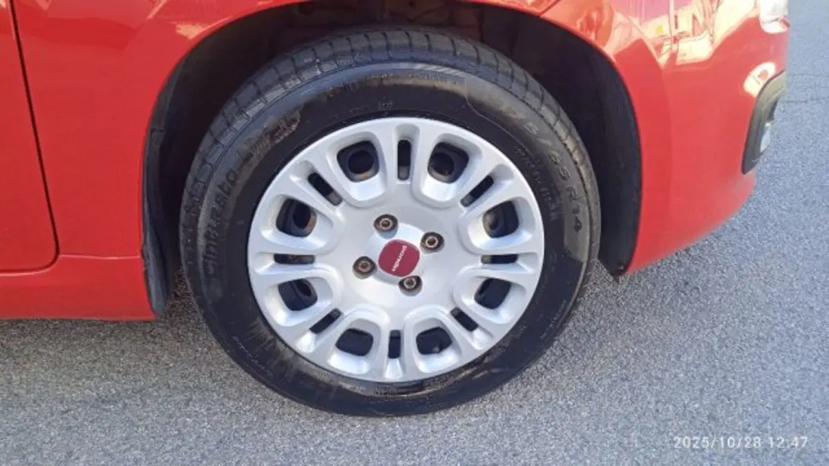 Fiat Panda usata a Frosinone (14)