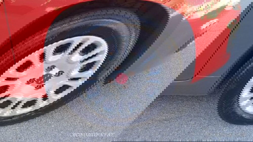 Fiat Panda usata a Frosinone (14)