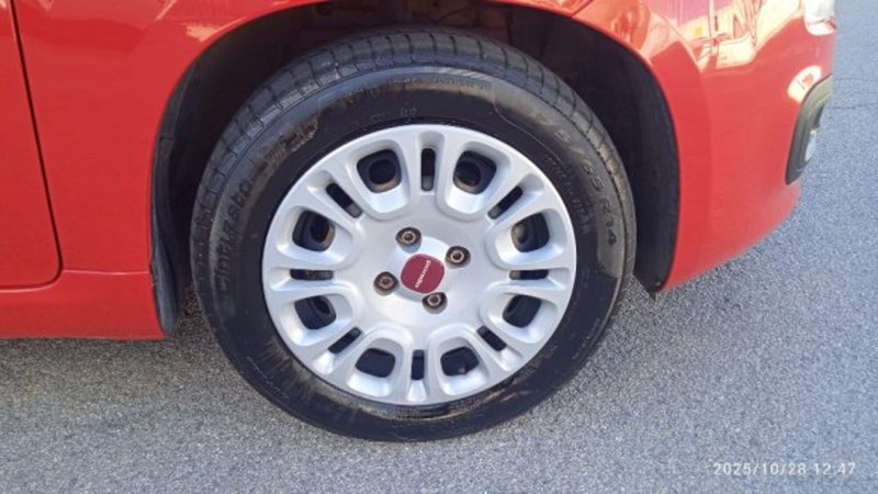 Fiat Panda usata a Frosinone (14)
