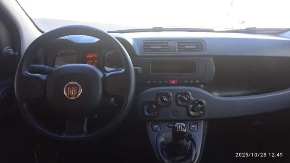 Fiat Panda usata a Frosinone (16)