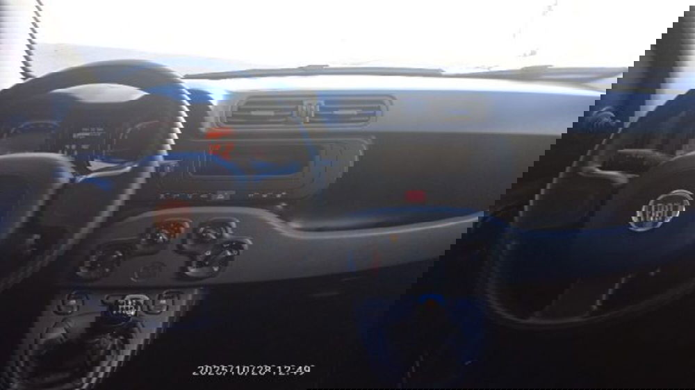 Fiat Panda usata a Frosinone (16)