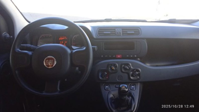 Fiat Panda usata a Frosinone (16)