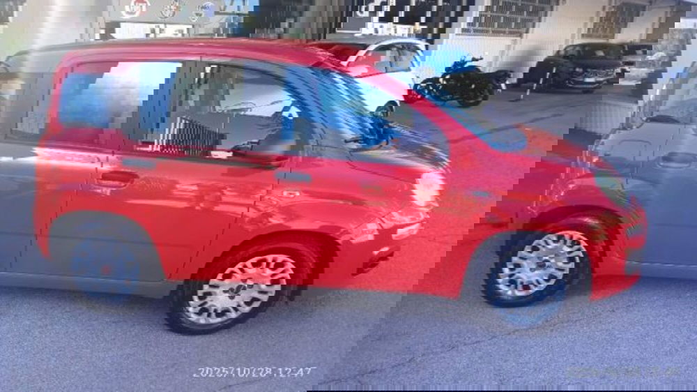 Fiat Panda usata a Frosinone