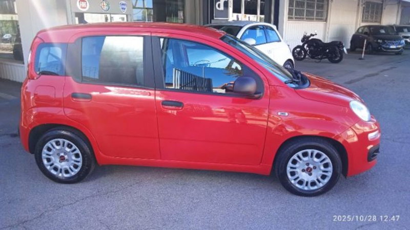 Fiat Panda usata a Frosinone