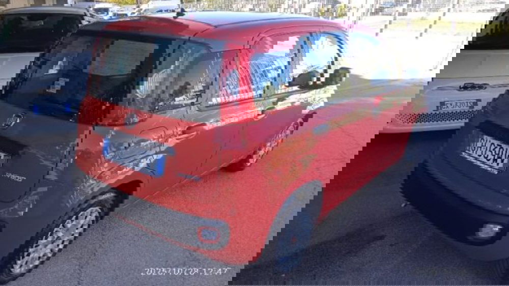 Fiat Panda usata a Frosinone (2)