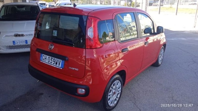 Fiat Panda usata a Frosinone (2)