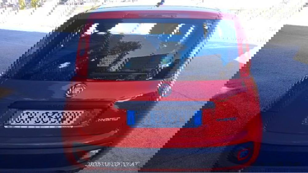 Fiat Panda usata a Frosinone (3)