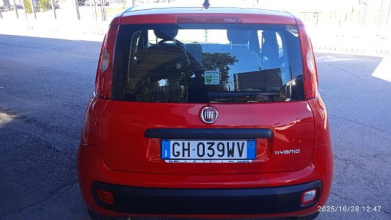 Fiat Panda usata a Frosinone (3)