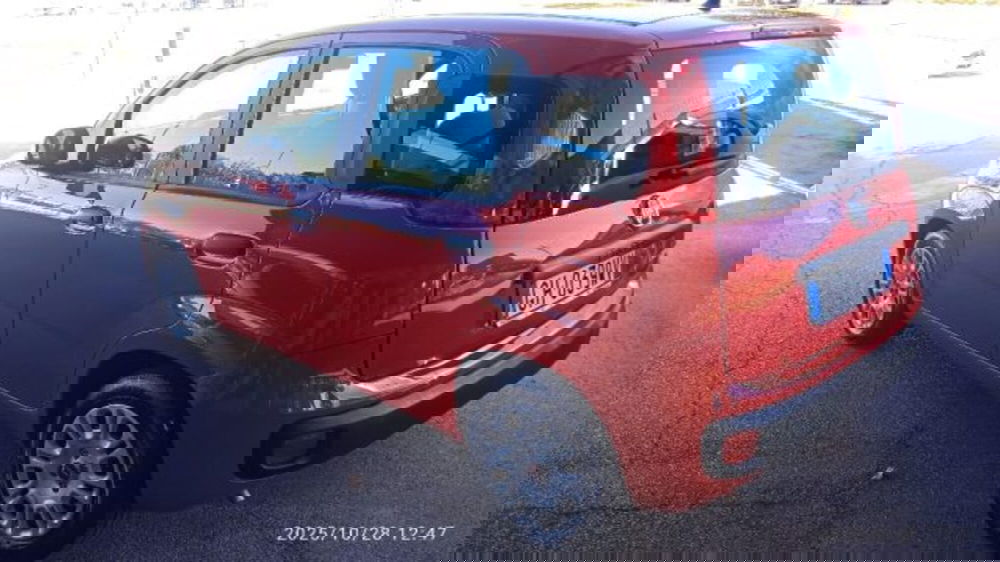 Fiat Panda usata a Frosinone (4)