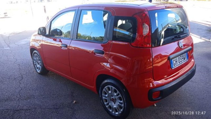 Fiat Panda usata a Frosinone (4)