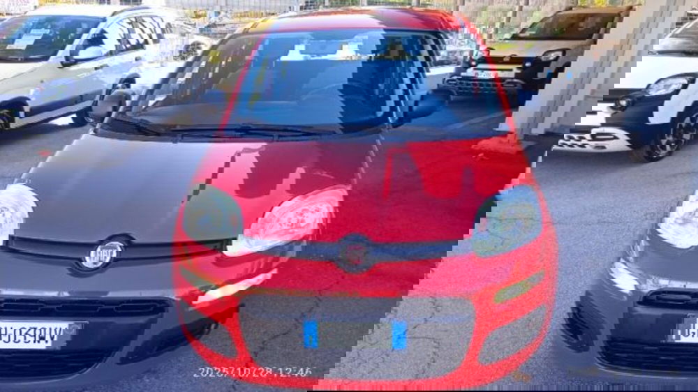 Fiat Panda usata a Frosinone (6)