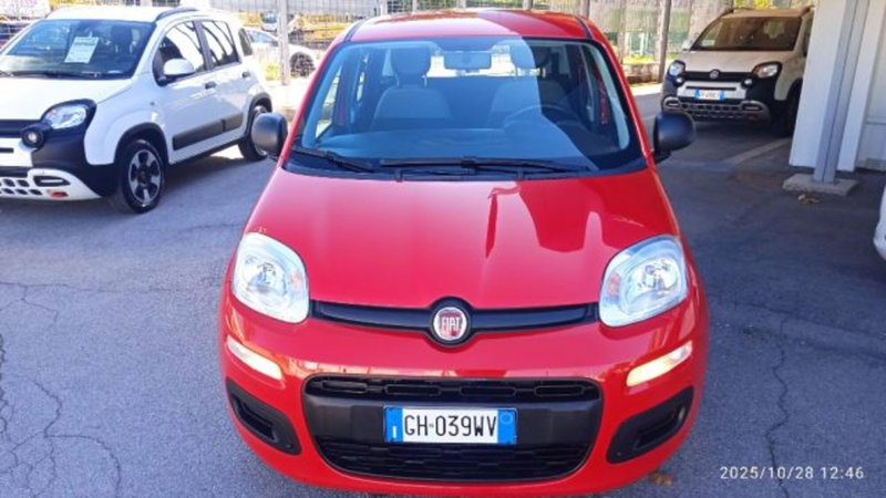 Fiat Panda usata a Frosinone (6)