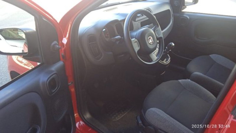 Fiat Panda usata a Frosinone (7)