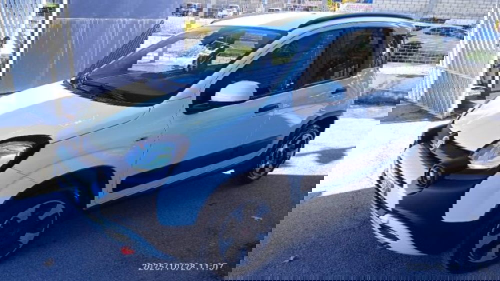 Fiat Panda Cross usata a Frosinone (5)