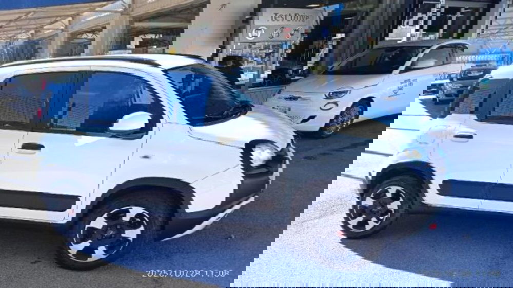 Fiat Panda Cross usata a Frosinone