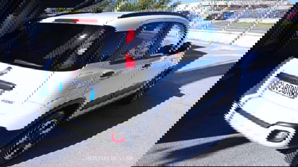 Fiat Panda Cross usata a Frosinone (2)