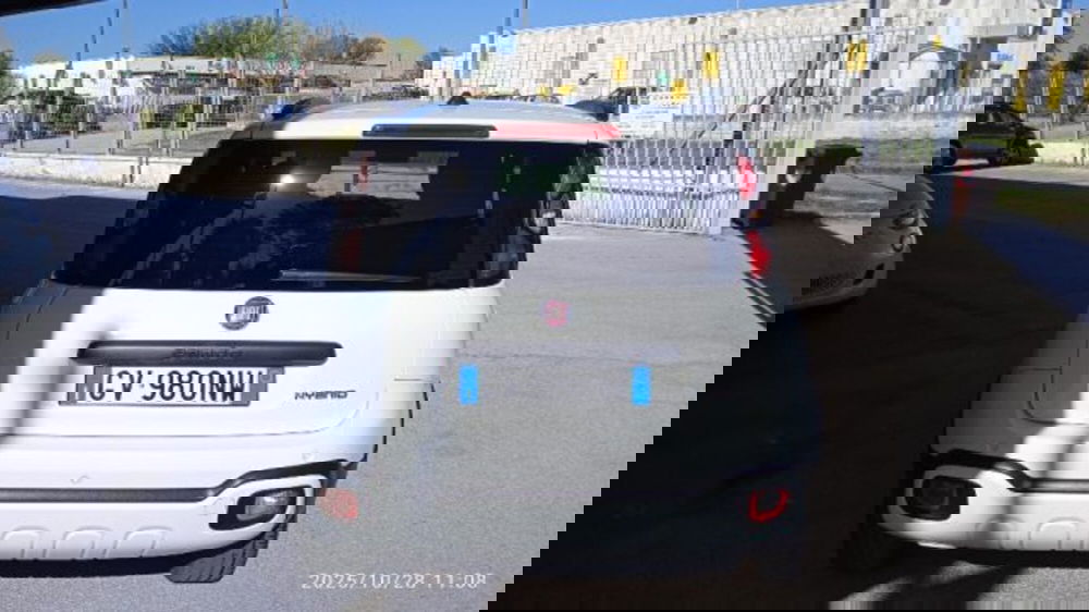 Fiat Panda Cross usata a Frosinone (3)