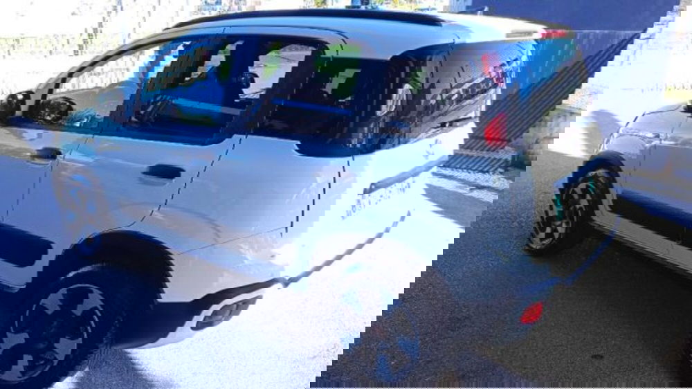 Fiat Panda Cross usata a Frosinone (4)