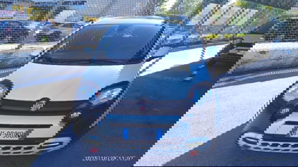 Fiat Panda Cross usata a Frosinone (6)