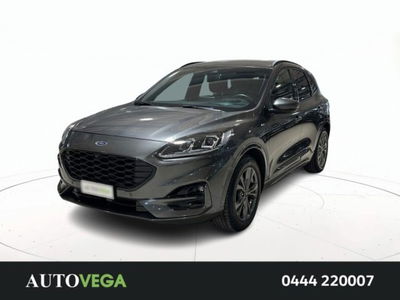 Ford Kuga 2.0 EcoBlue 190 CV aut. AWD ST-Line X del 2020 usata a Arzignano