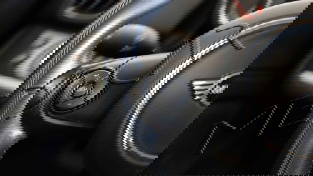 MINI Mini Countryman usata a Potenza (11)