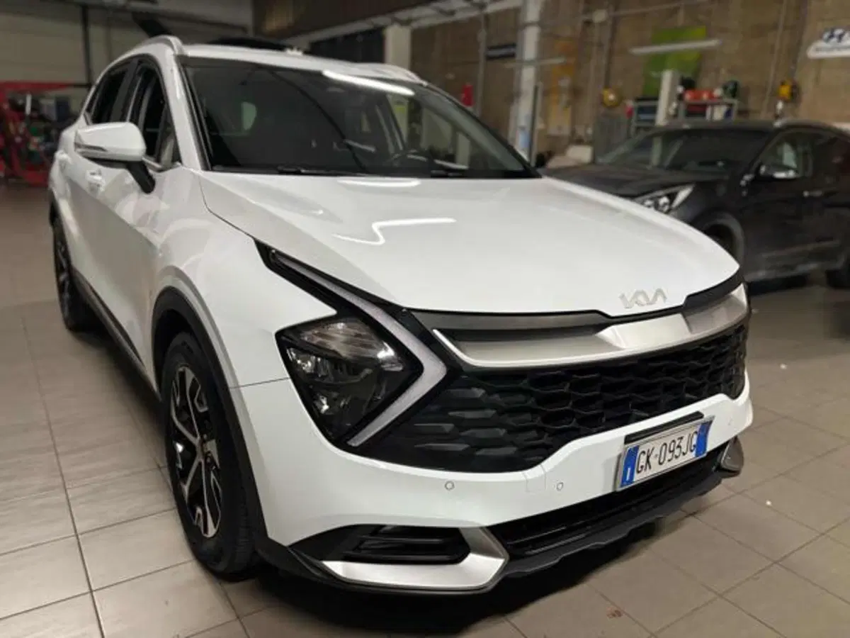 Kia Sportage usata a Pesaro-Urbino (2)