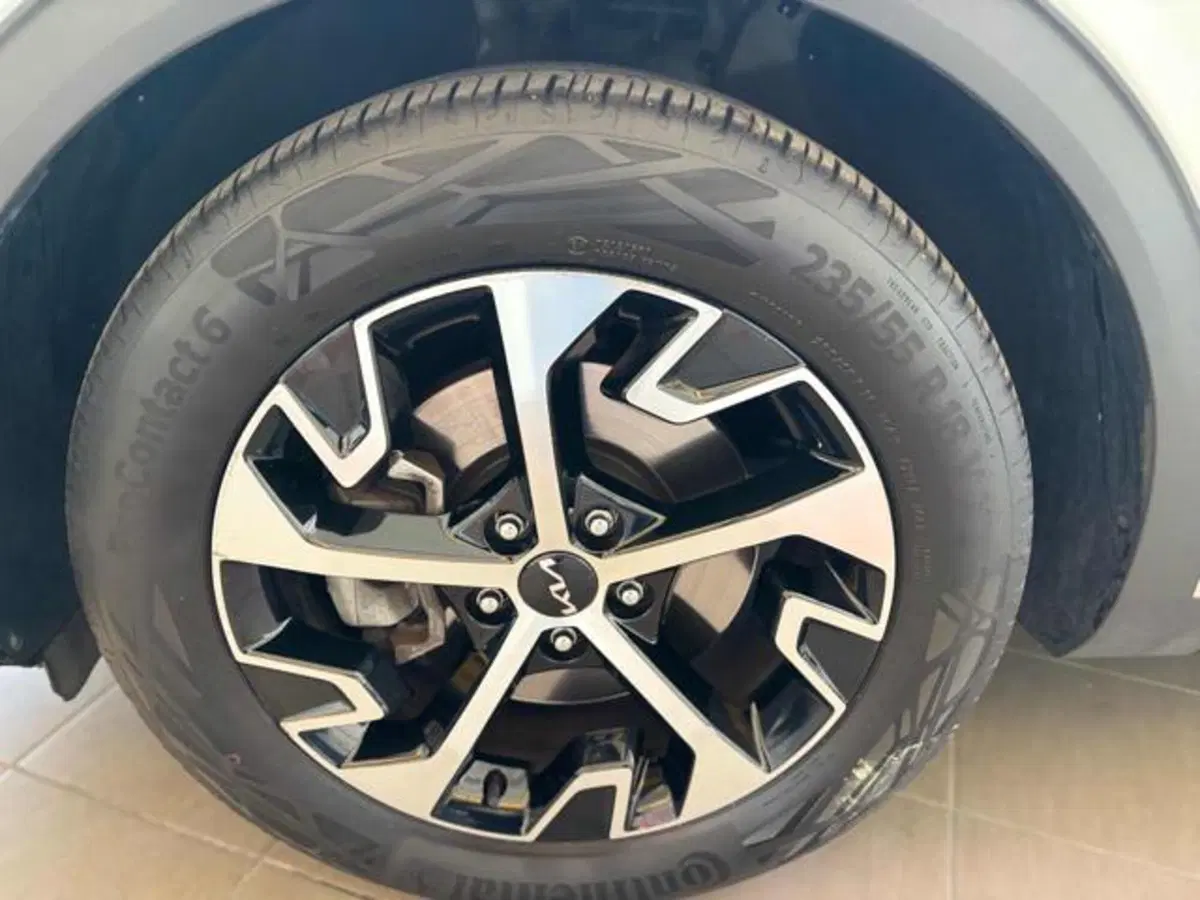 Kia Sportage usata a Pesaro-Urbino (8)