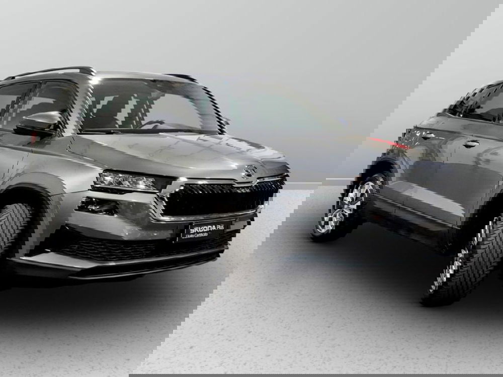 Skoda Karoq usata a Padova (6)