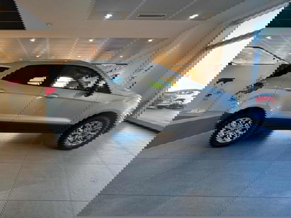 Ford EcoSport usata a Sassari (4)