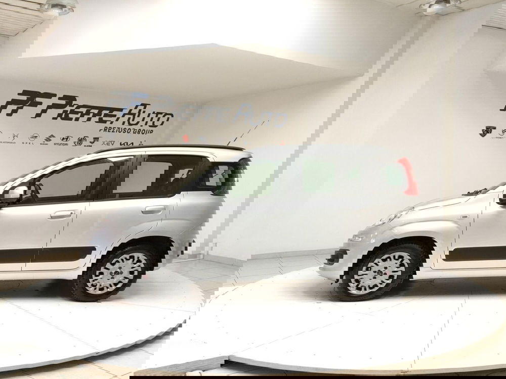 Fiat Panda usata a L'Aquila (2)