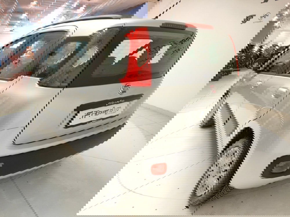 Fiat Panda usata a L'Aquila (9)