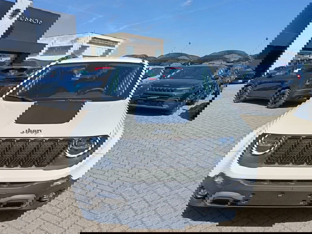 Jeep Renegade usata a Alessandria (2)