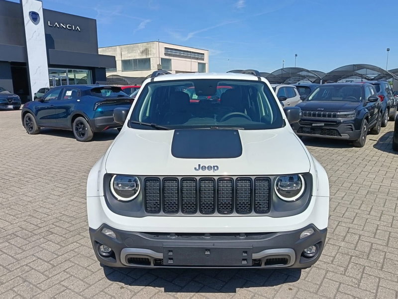 Jeep Renegade usata a Alessandria (2)