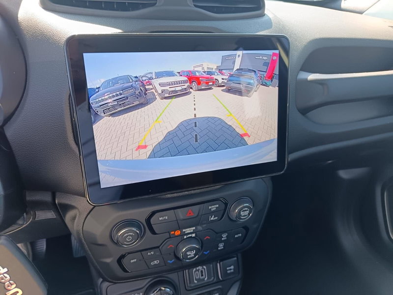 Jeep Renegade usata a Alessandria (20)